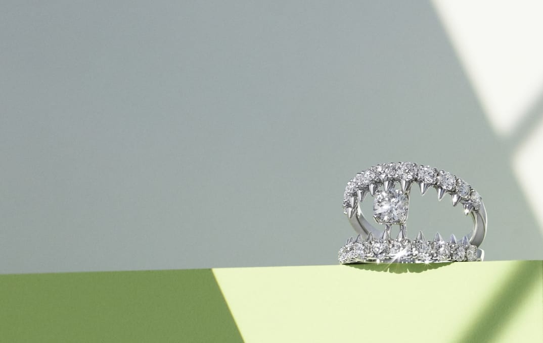 DIAMOND JEWELLERY 肌に最高の輝きを添えるダイヤモンドジュエリー