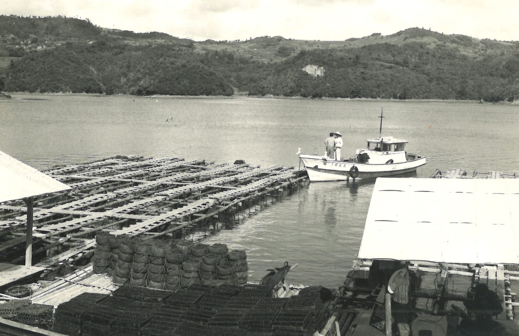 1954年 創始者 田崎俊作は神戸市で養殖真珠加工販売業を開始しました。あこや真珠の養殖をはじめ、選別・加工から販売まで一貫して自社で行い、チャレンジを恐れない革新的な経営を続けていきました。