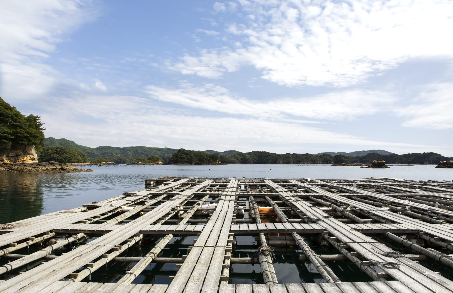 TASAKIは長崎県九十九島と三重県伊勢志摩、そしてアンダマン海で真珠養殖場を運営。真珠養殖に適した環境で、豊かな知識と経験を持つ専門家による丁寧で的確な管理のもと、高品質の真珠を世に送り出します。