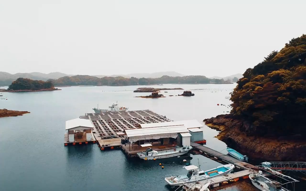 PEARL FARM STORY