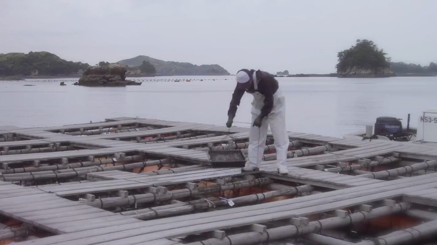 成長を経て、また海へ