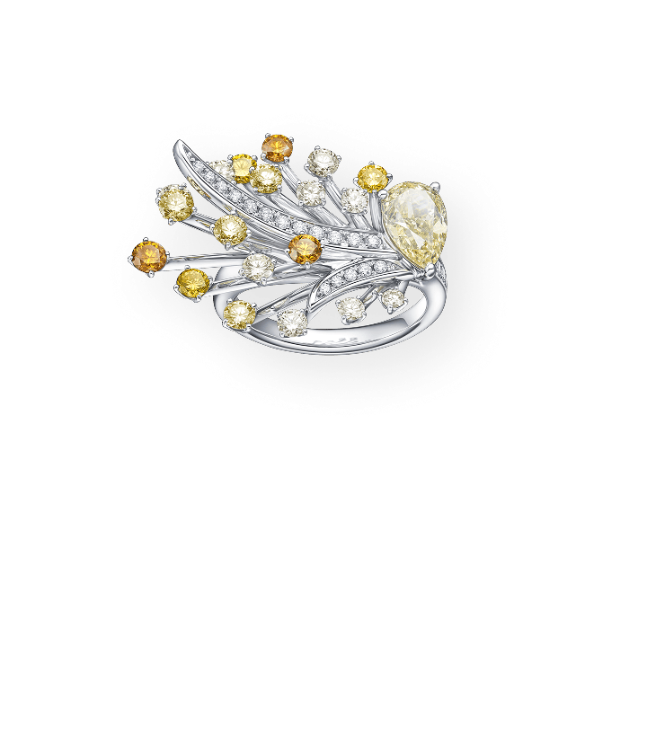 リュミヌー <br class="u-only-responsive">リング