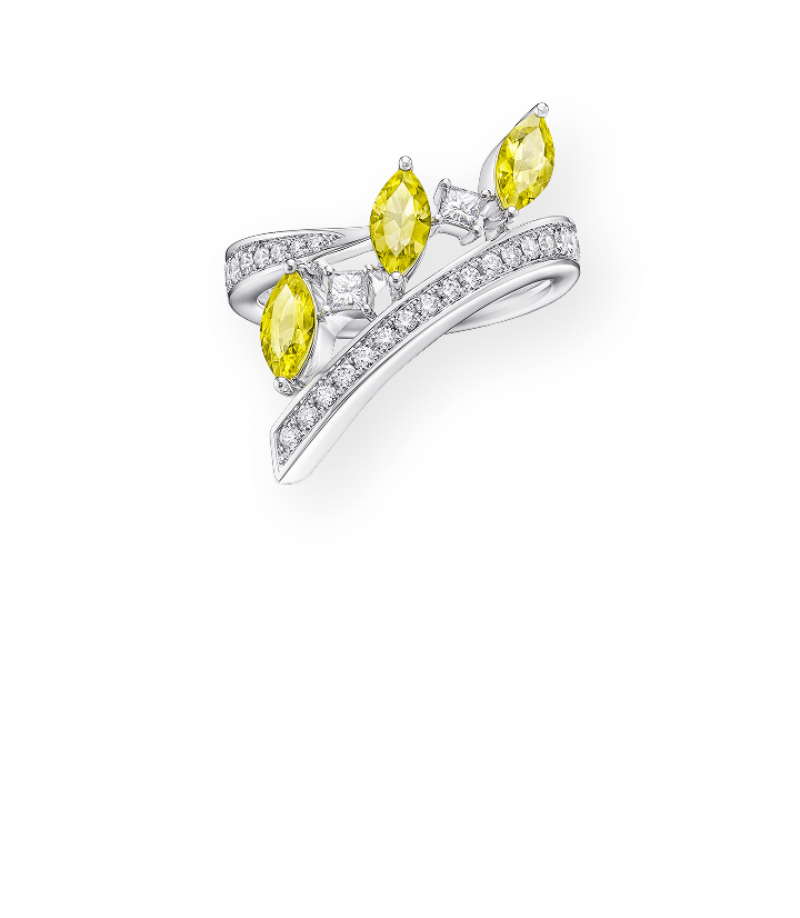 サンティユモン <br class="u-only-responsive">リング