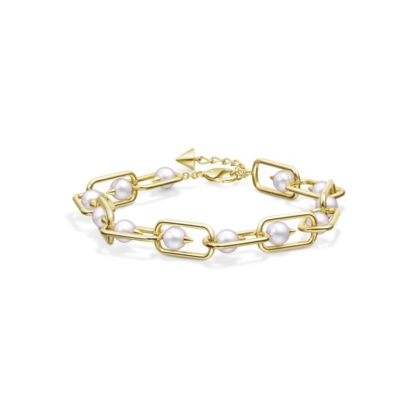 danger links Bracelet — BL-0800-18KYG