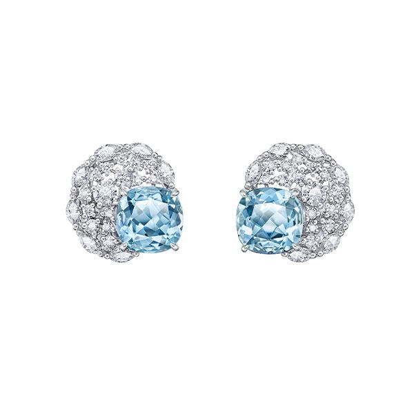 Unisson Earrings — EI-4471-PT900-AQA