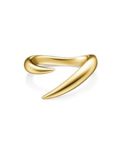 デインジャー ホーン プラス リング