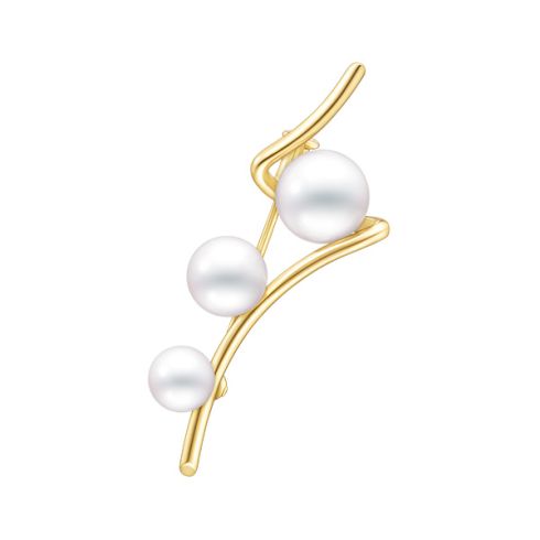 ア ファイン バランス ブローチ