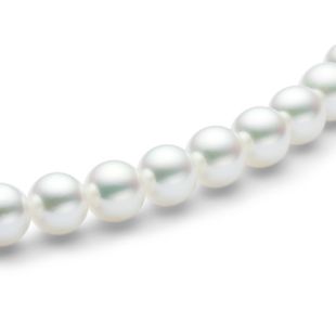 products/small/1_000000000735.jpg