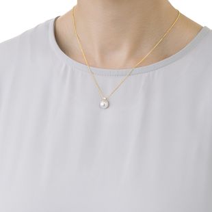 products/small/1_000000000818.jpg