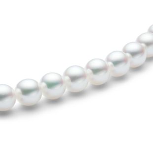 products/small/1_031001000009.jpg