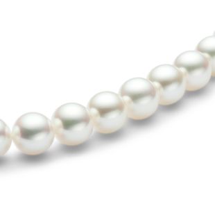products/small/1_031001000012.jpg