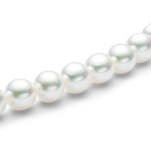 products/small/1_031001000014.jpg