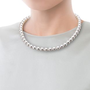products/small/1_031001000014.jpg