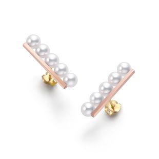 バランス プラス イヤリング