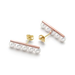 バランス プラス イヤリング