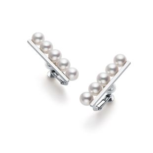 バランス プラス イヤリング (クリップタイプ)