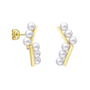 バランス アーム ネオ イヤリング