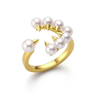 デインジャー トラップ リング