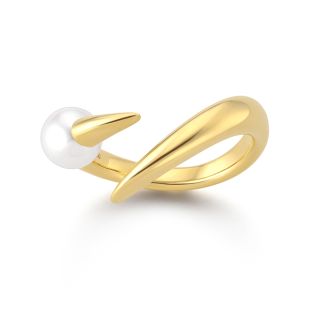 デインジャー ホーン プラス リング