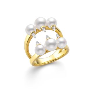 デインジャー アルティメット リング