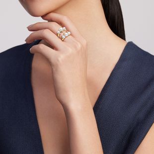 デインジャー アルティメット リング