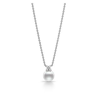 products/small/1_000000000825.jpg